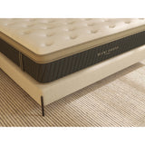 Hybrid Euro-Top Mattress by Becki Owens Home