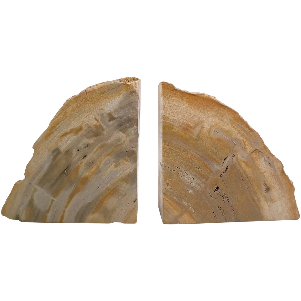 Petrified Wood Bookends, Natural, Set of 2-Accessories-High Fashion Home