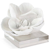 Magnolia Object, White