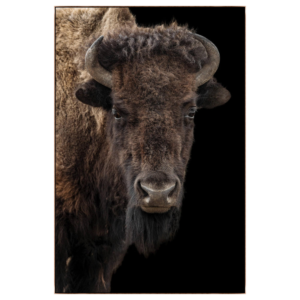 Buffalo on Black III Framed-Accessories Artwork-High Fashion Home