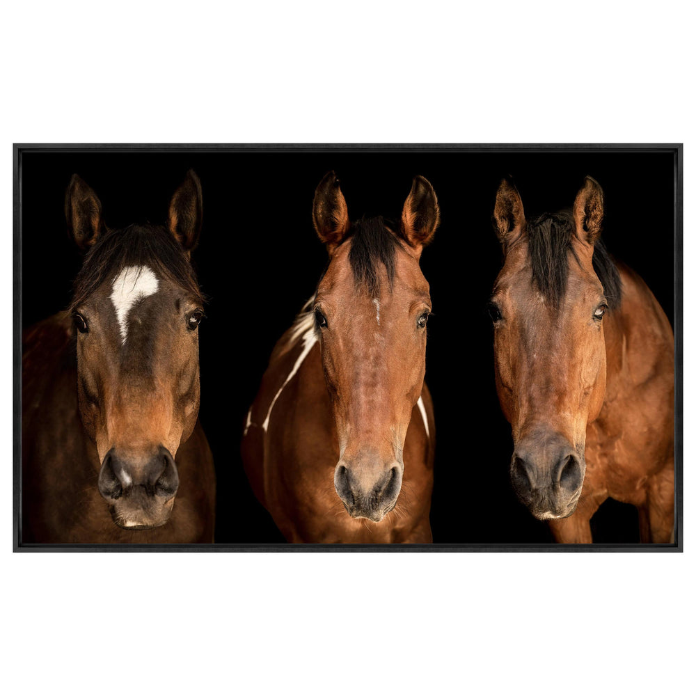 Horses in There Framed-Accessories Artwork-High Fashion Home