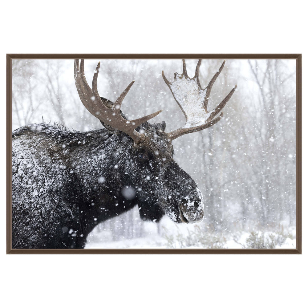 Moose Portrait Framed-Accessories Artwork-High Fashion Home