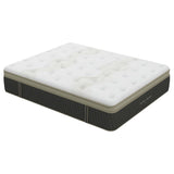 Hybrid Euro-Top Mattress by Becki Owens Home