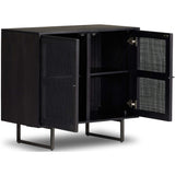 Carmel Small Cabinet, Black Wash-Furniture - Storage-High Fashion Home