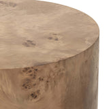 Caya End Table, Caramel Burl-Furniture - Accent Tables-High Fashion Home