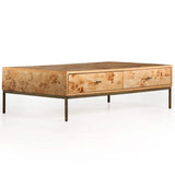 Mitzie Coffee Table, Amber-Furniture - Accent Tables-High Fashion Home