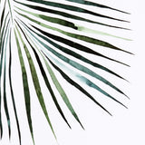 Palm by Jess Engle-Accessories Artwork-High Fashion Home