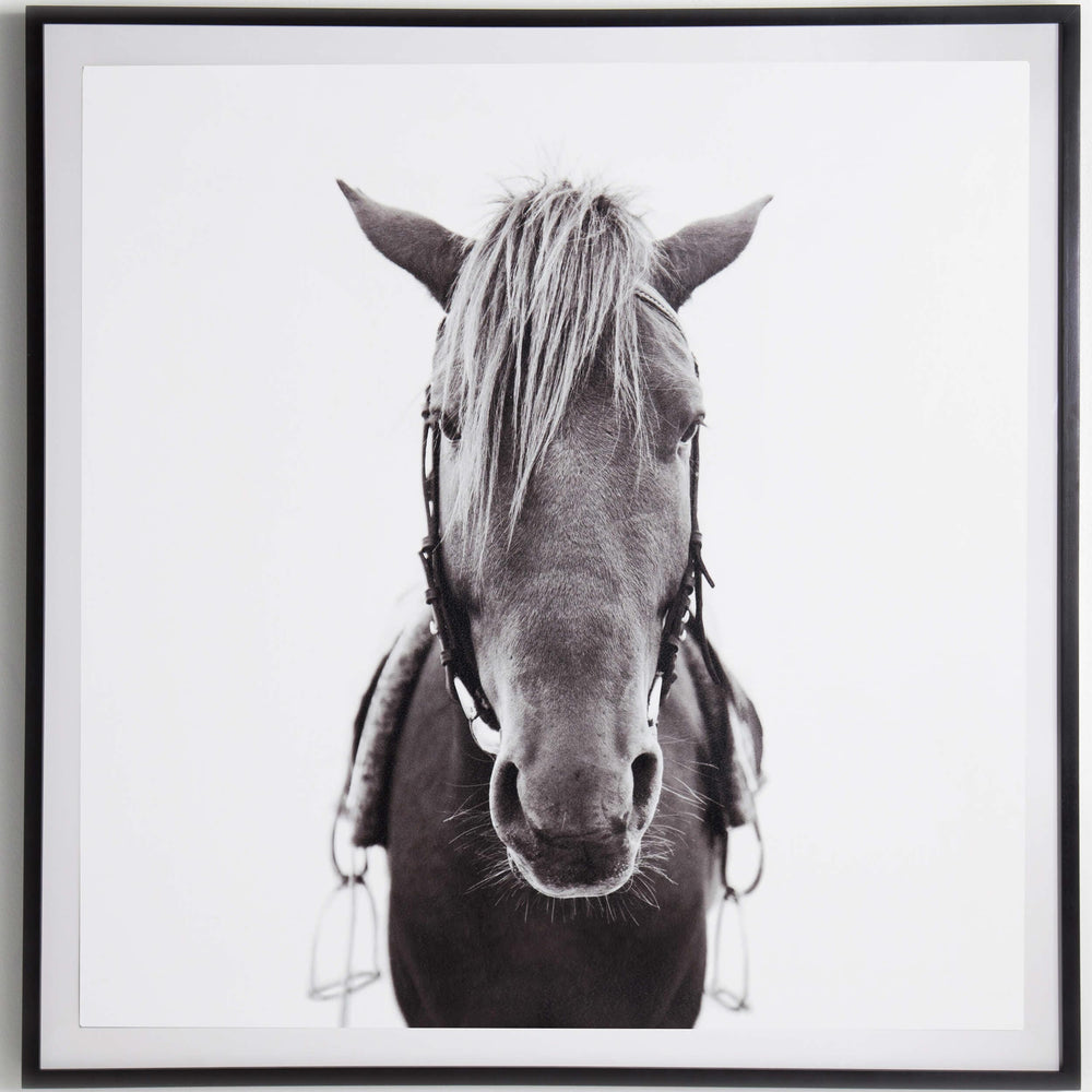 Horse Framed-Accessories Artwork-High Fashion Home