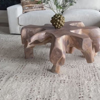 Cypress Root Coffee Table, Natural White Wash