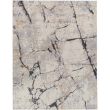 Surya Rug Tuscany TUS-2314-Rugs1-High Fashion Home