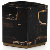 Shep End Table, Polished Petrified Wood-Furniture - Accent Tables-High Fashion Home