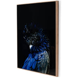 Red-tailed Black Cockatoo, Getty Images-Accessories Artwork-High Fashion Home