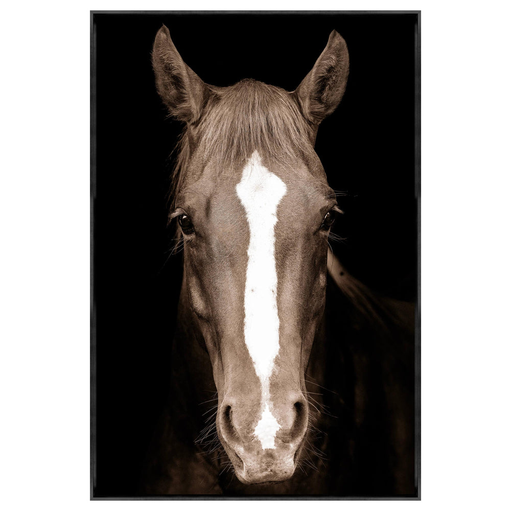 Brown Horse Framed-Accessories Artwork-High Fashion Home