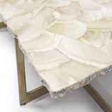 Durham Fossilized Clam Coffee Table - Modern Furniture - Coffee Tables - High Fashion Home