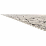 Feizy Rug Kano 3872F, Sand/Charcoal - Rugs1 - High Fashion Home