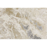 Feizy Rug Aura 3563F, Beige/Gray