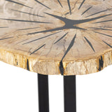 Barren End Table, Light Petrified