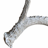 Deer Antler, Medium - Accessories - High Fashion Home