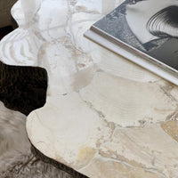 Chloe Fossilized Clam Lava Coffee Table