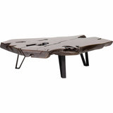 Rusteak Coffee Table - Modern Furniture - Coffee Tables - High Fashion Home